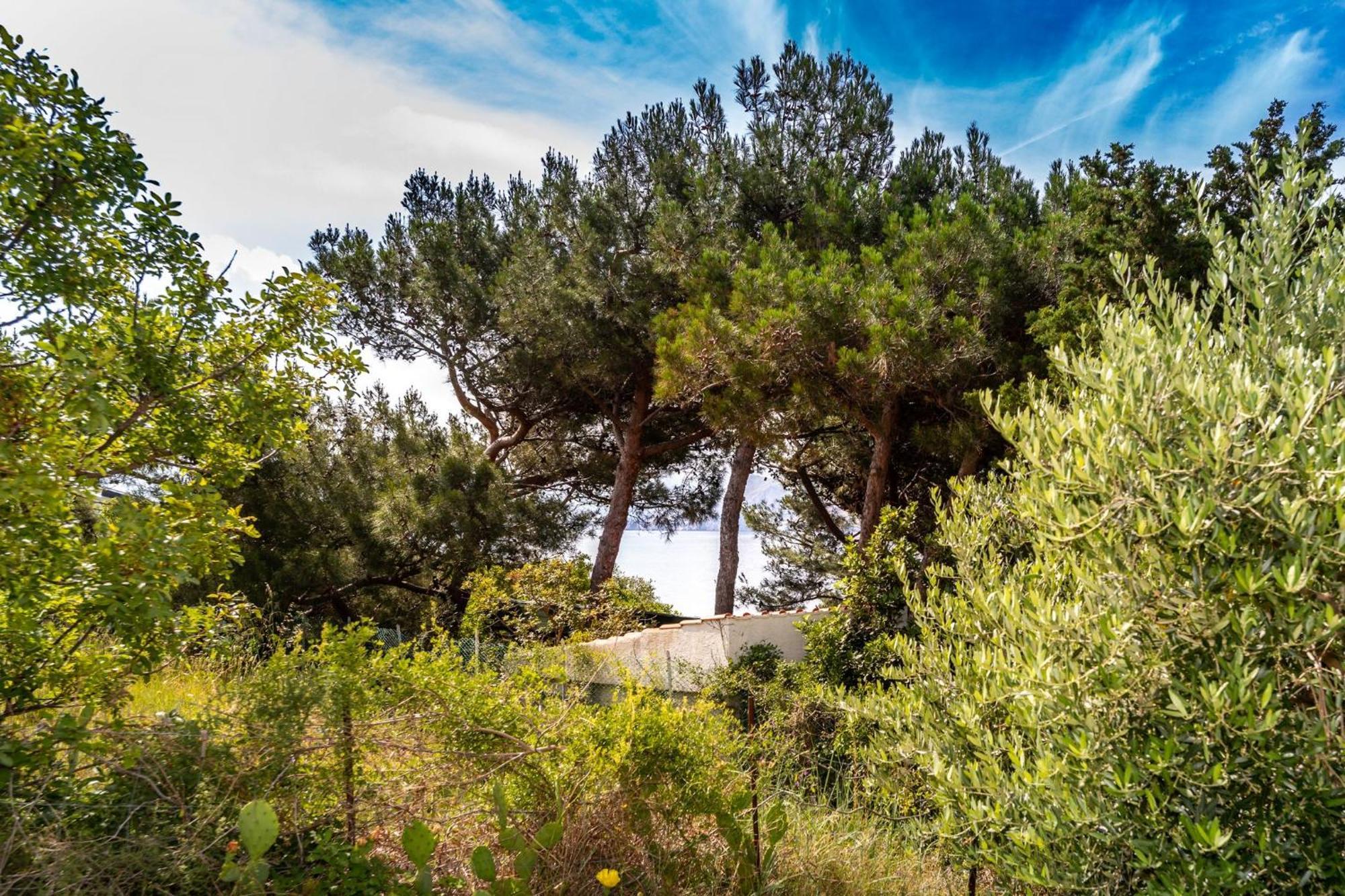 Apartments Oleander Kricin Baška Dış mekan fotoğraf